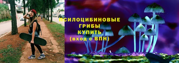 марки lsd Богородицк